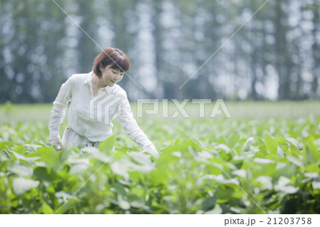 農業 女性 農業 女性 21203758