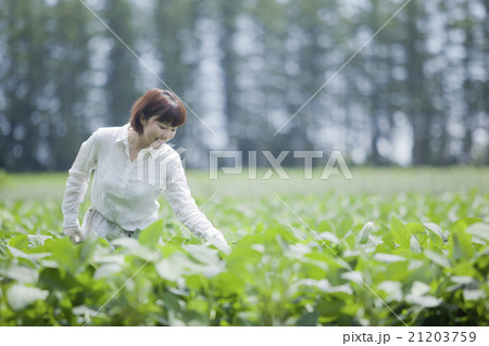 農業 女性 農業 女性 21203759