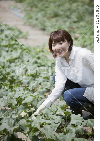 農業女子 農業女子 21203805