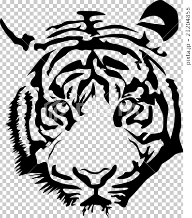 Tiger Tiger 21204858