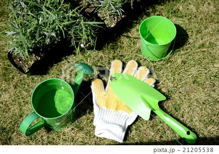ガーデニング ガーデニング 21205538