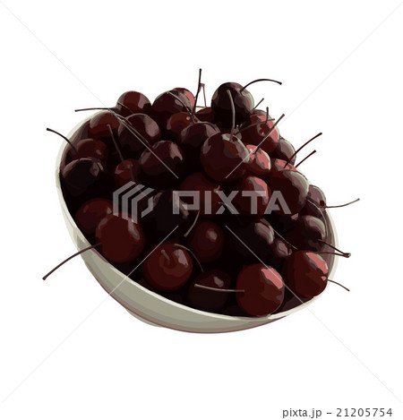 realistic Vector cherries illustration realistic Vector cherries illustration 21205754