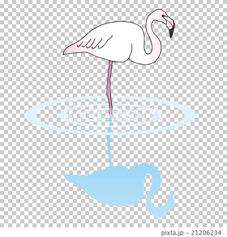 Flamingo Flamingo 21206234