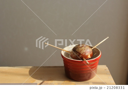 アボカドの種 21208331