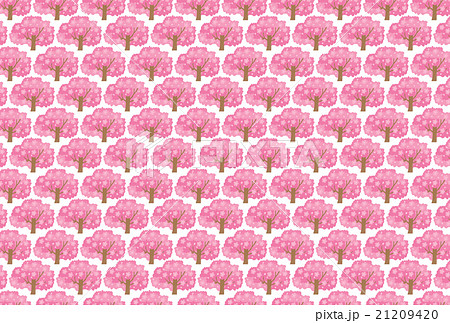 桜のポストカード  21209420