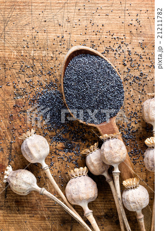 poppy seeds poppy seeds 21211782