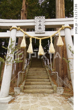 信州　岡谷の神社　今井十五社神社　鳥居　縦　彫刻が見事な拝殿と、懸造でつくられた舞屋が珍しい 21217186