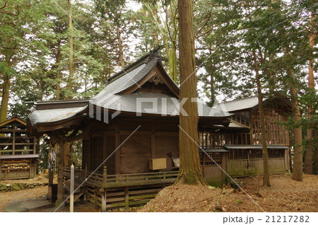 信州　岡谷の神社　今井十五社神社　拝殿～本殿　側面俯瞰 21217282