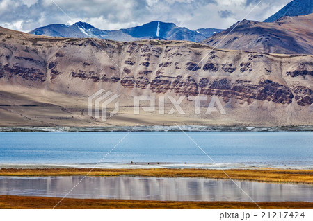 Mountain lake Tso Kar in Himalayas 21217424