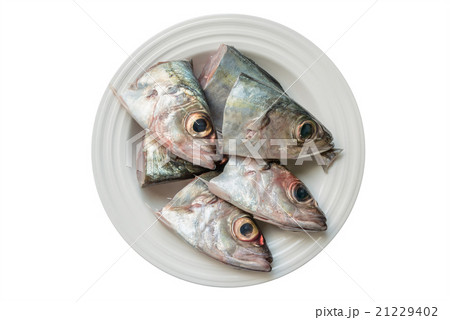 fish head fish head 21229402