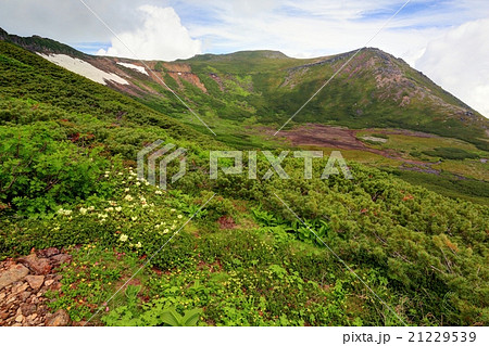 御嶽山・四の池と継子岳 21229539