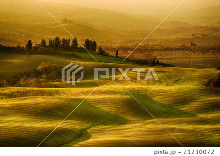 Wavy fields in Tuscany Wavy fields in Tuscany 21230072