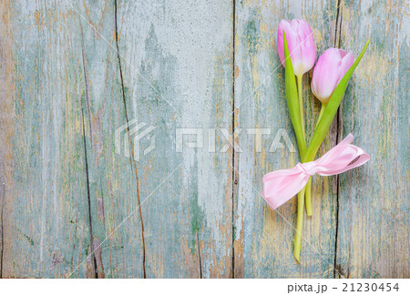 Two pink tulips on the wooden background Two pink tulips on the wooden background 21230454