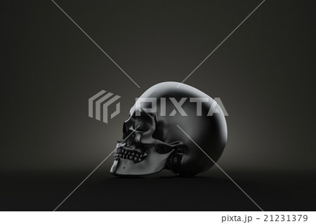 Still life human skull. Contains clipping path 21231379