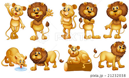 Lions In Different Actionsのイラスト素材