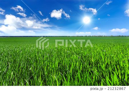 Green field 21232867