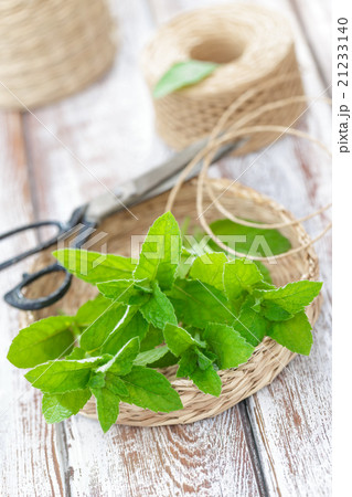 Mint Mint 21233140
