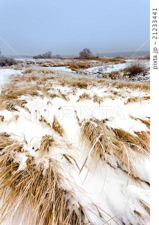 Winter landscape Winter landscape 21233441