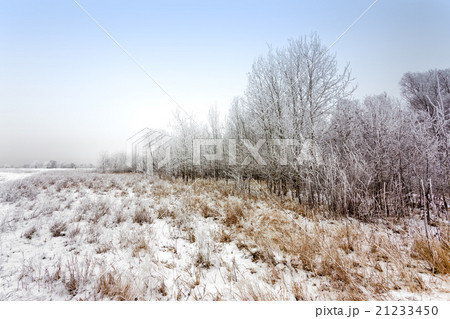 Winter landscape 21233450