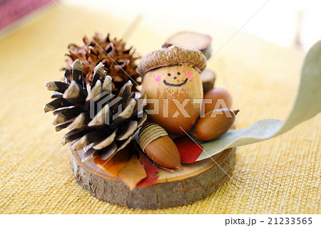 秋の散歩 21233565