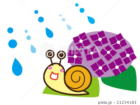 梅雨　カタツムリとアジサイ 21234183