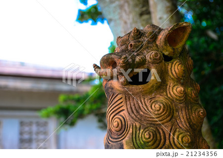 日本　沖縄　シーサー 21234356