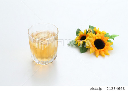 麦茶 麦茶 21234668