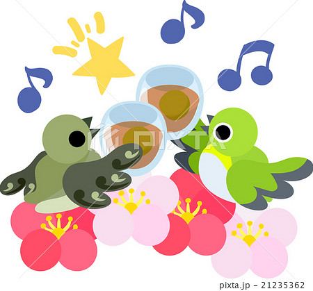 メジロとウグイスをイメージした 可愛い小鳥のイラストです のイラスト素材