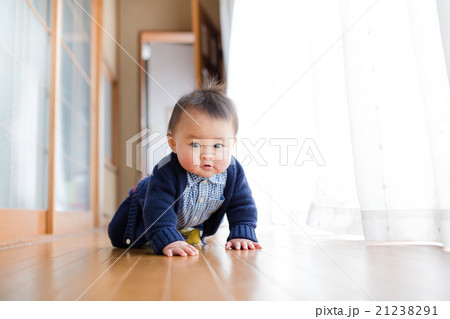 ハイハイする男の子 ハイハイする男の子 21238291