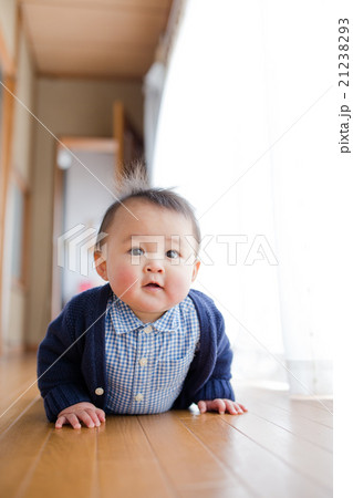 ハイハイする男の子　 21238293