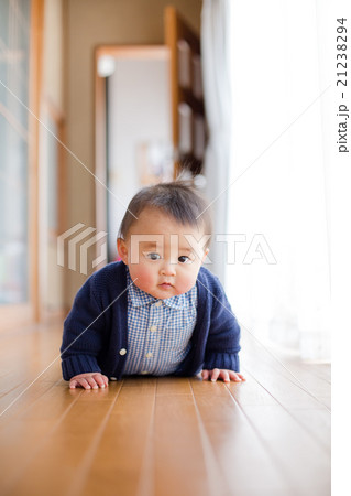 ハイハイする男の子　 21238294