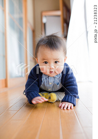 お座りする男の子 21238323