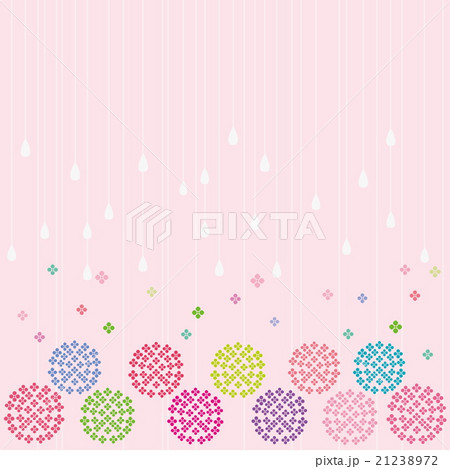 紫陽花　雨 21238972