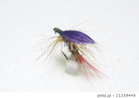 ウィングが紫色、ボディがピーコックのドライフライ 21239449