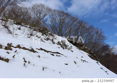 雪の斜面 雪の斜面 21239497