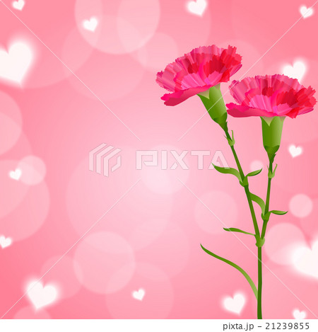 母の日 カーネーション 花 背景 のイラスト素材 21239855 Pixta