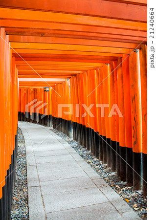 torii in the "Fushimi Inari-taisha" shrine  21240664