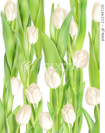 Tulips decorative background. EPS 10 21240720