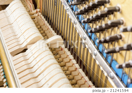 Pattern of hammers and strings inside piano 21241594
