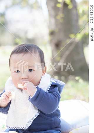 7 months old 21241616