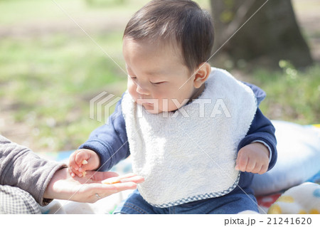 7 months old 7 months old 21241620