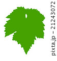 Vine leaf 21243072