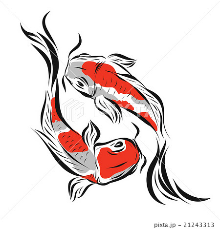 Vector Image Of An Carp Koi On White Backgroundのイラスト素材
