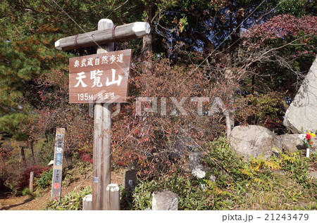 天覧山 天覧山 21243479