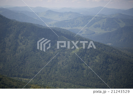 Green hills of Altai 21243529