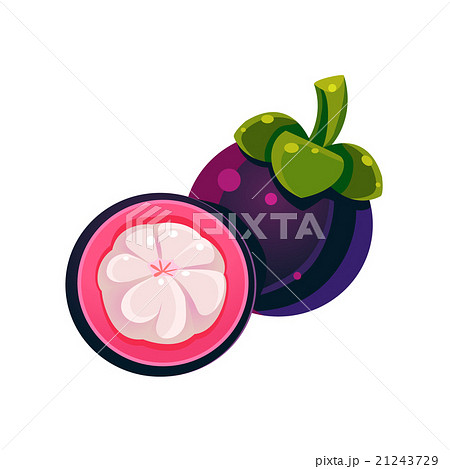 Mangosteen Flat Vector Sticker Mangosteen Flat Vector Sticker 21243729
