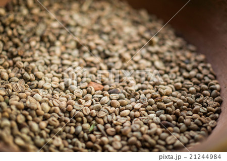 Civet coffee beans 21244984