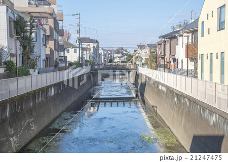 善福寺公園から神田川につながる善福寺川（東京都杉並区） 21247475