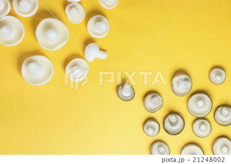 Brown and white Shimeji mushroom flat lay Brown and white Shimeji mushroom flat lay 21248002