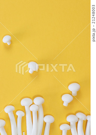 White Shimeji mushroom flat lay 21248003
